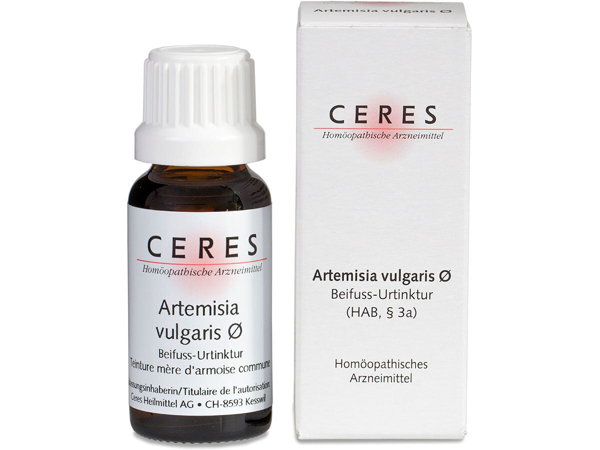 Ceres Artemisia vulgaris