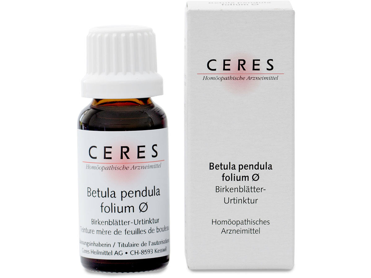 Ceres Betula pendula