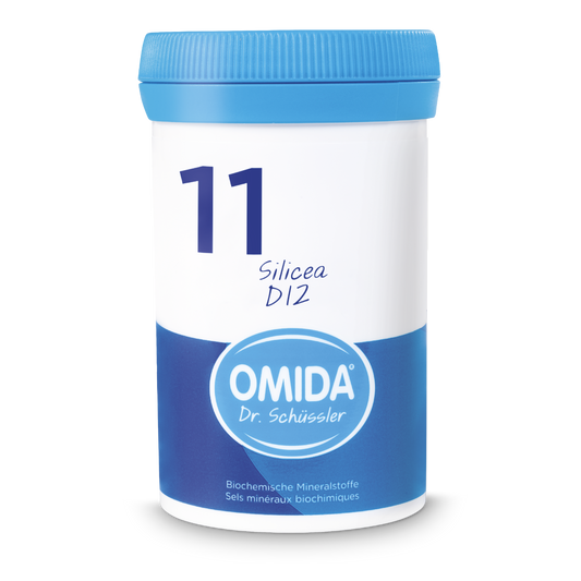 Omida Schüssler Nr.11