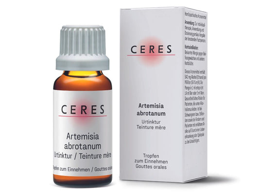 Ceres Artemisia abrotanum