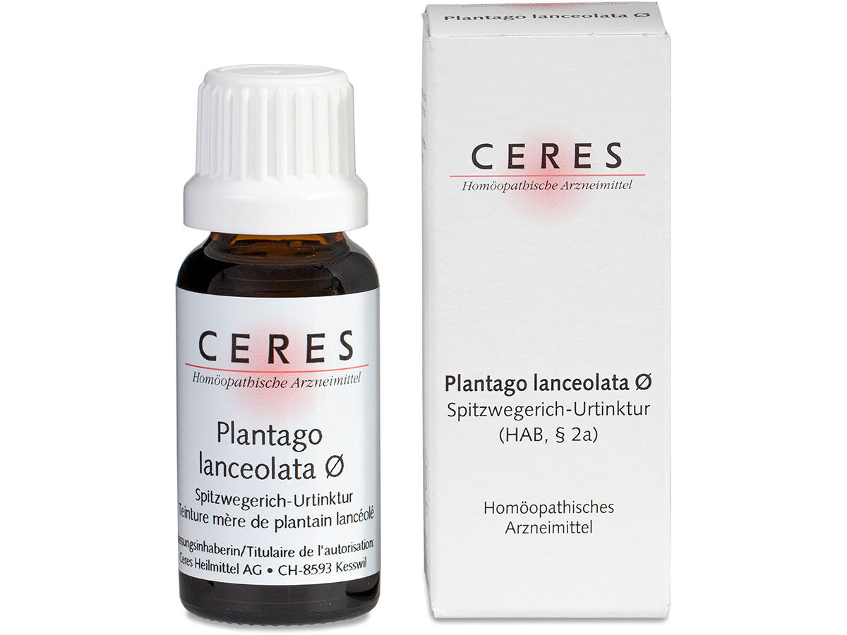 Ceres Plantago lanceolata