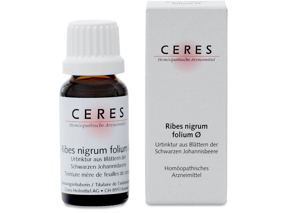 Ceres Ribes nigrum folium